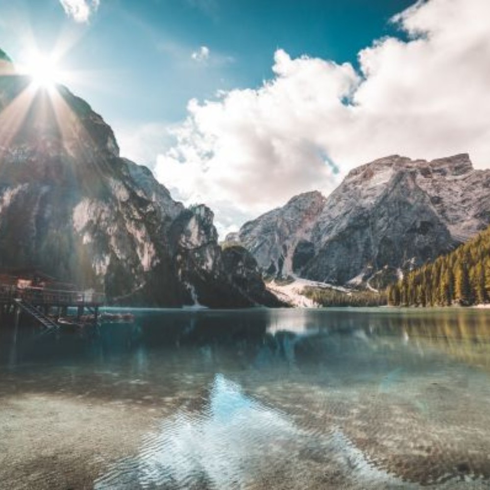 Meet your Posher, Leon